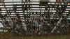 Fair goers watch the tractor pull from the stands.