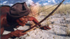 Bushman tracking with bow, grey hat and white sand