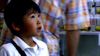 A young boy admires a wall of cages in a live beetle shop.