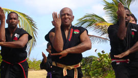 Ron Van Clief teaching in St. Thomas, U.S. Virgin Islands