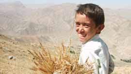 Mir in August 2006 farming wheat