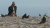 Jeffrey with his pigeon and other birds on Venice Beach