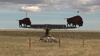 “Buffalo Junction” sign near Head Smashed in Buffalo Jump, southern Alberta, Canada