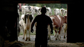 Josh working on the Osborne Farm
