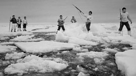 Narwhale hunters in Thule/Qaanaaq, Greenland Narwhale hunters in Thule/Qaanaaq, Greenland