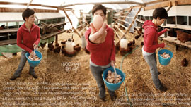“Pasture Raised vs. Cage Free” - Alexis Koefoed runs a small family farm raising pastured chickens for eggs and meat.