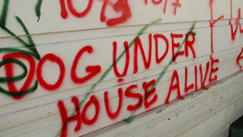 Spray painted markings indicating homes where pets were found