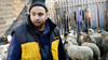 Imran Uddin tries to organize hundreds of goats and lamb during the holiday of Qurbani in Queens, New York.