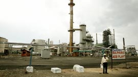 The Mopani plant The Mopani plant