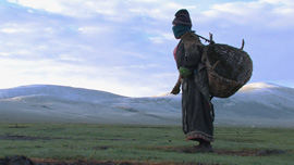 Yama collects yak dung in early morning