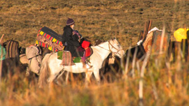 Yama and baby ride to Fall Pasture