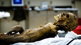 Migrant body found in the desert