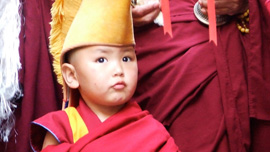 The unmistaken child