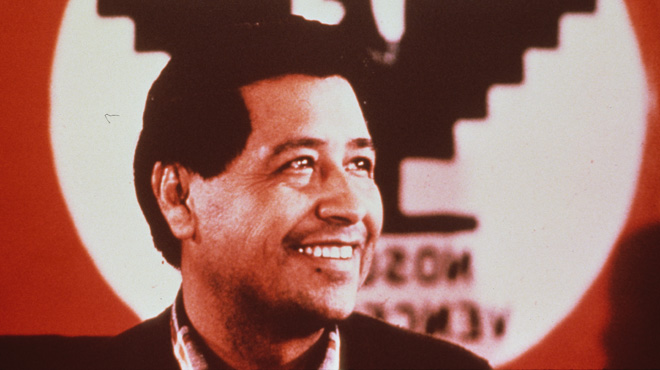 Film Signature Image